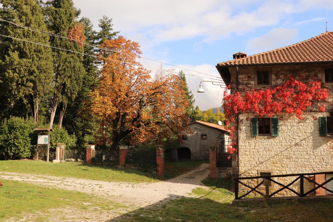 Agriturismo Villaggio Eden Пьеве-Санто-Стефано Экстерьер фото