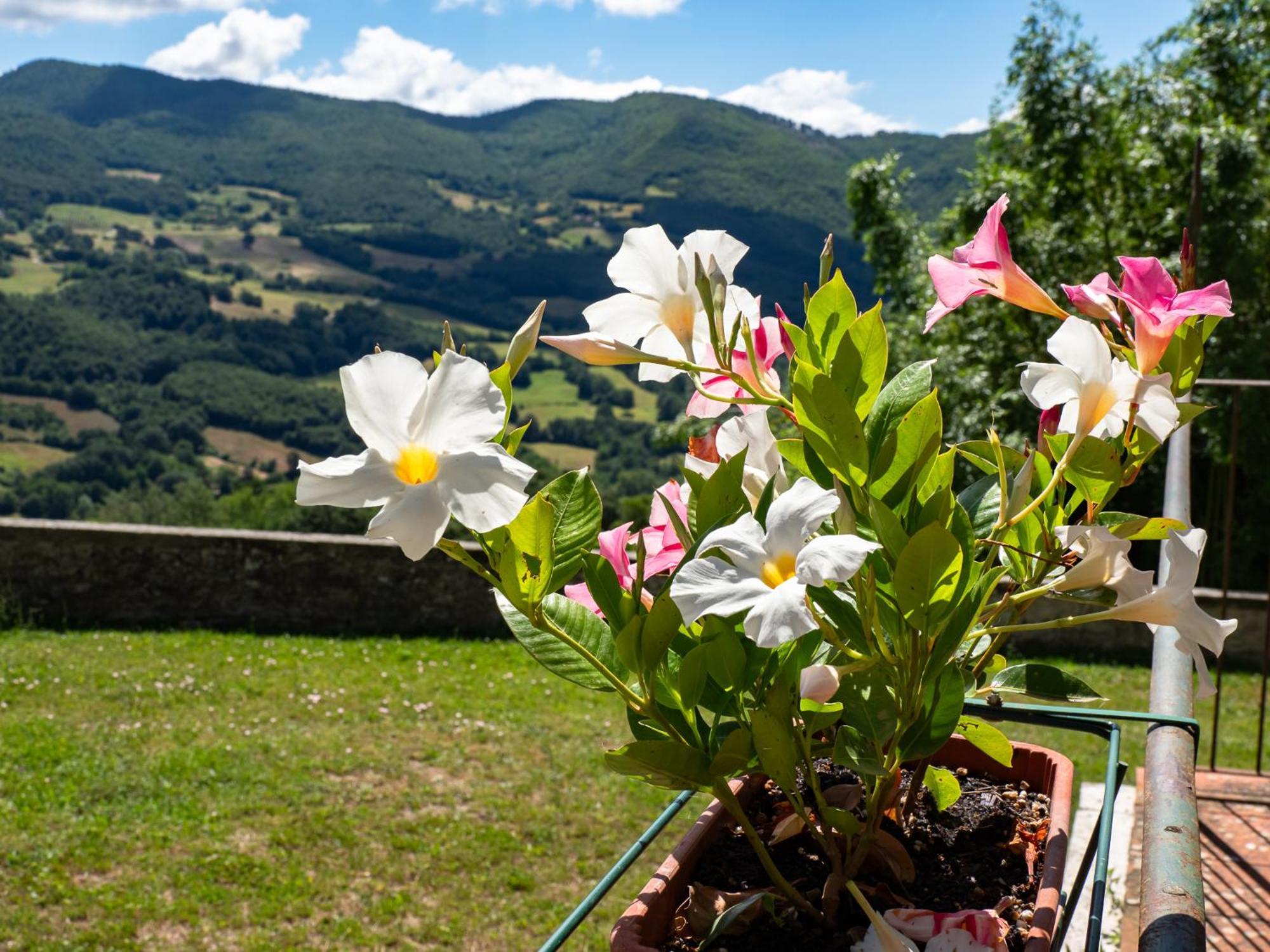 Agriturismo Villaggio Eden Пьеве-Санто-Стефано Экстерьер фото
